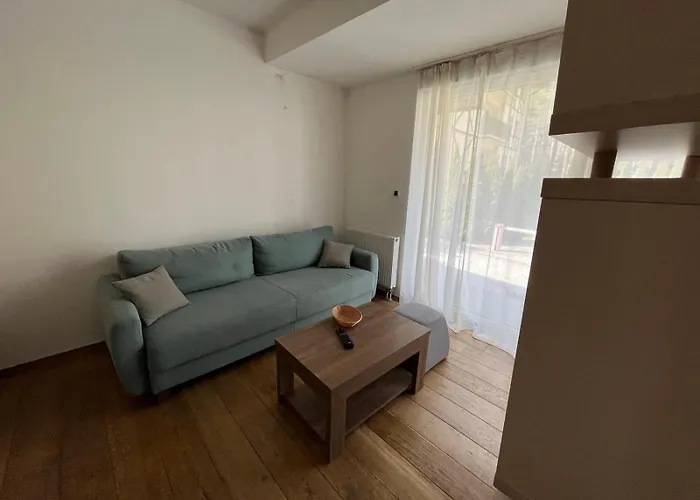 Sunny Pines * 즐라티보